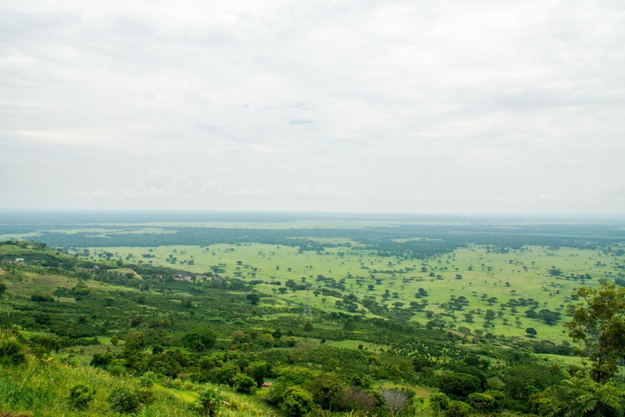 Queen Elizabeth Pvt Lodge Kichwamba Eksteriør billede